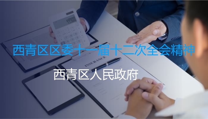 西青区区委十一届十二次全会精神